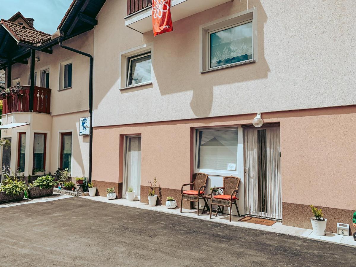 Apartments Ivanovic Idrija Eksteriør bilde